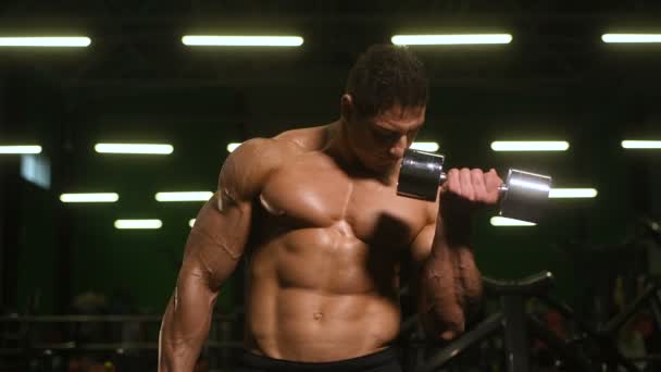 Bonitos Homens Atléticos Fortes Bombeando Músculos Bíceps Treino Fitness Musculação — Vídeo de Stock
