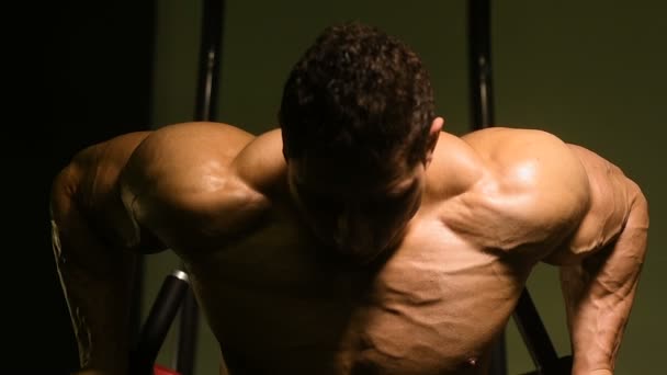 Hombres Atléticos Guapos Bombeando Los Músculos Flexiones Barras Irregulares Ejercicios — Vídeo de stock