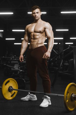 Yakışıklı güçlü atletizm Erkekler kaslı vücut geliştirmeci erkekler spor salonu çıplak gövde egzersizleri yapıyor kaslar egzersiz halter bodur vücut geliştirme kavramı arka plan - pompalama