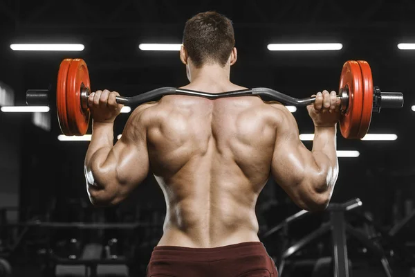 Handsome Strong Athletic Men Pumping Muscles Workout Barbell Squat Bodybuilding — Stock Photo, Image