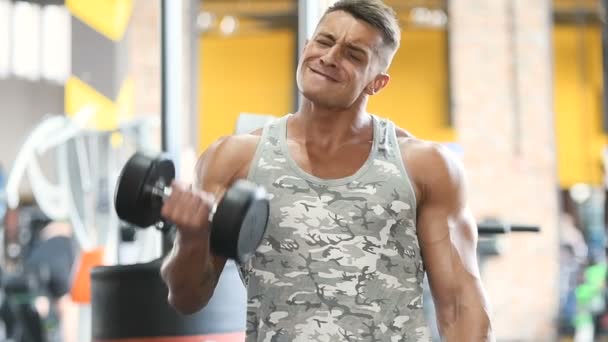 Schöne Starke Athletische Männer Die Muskeln Aufpumpen Workout Fitness Und — Stockvideo
