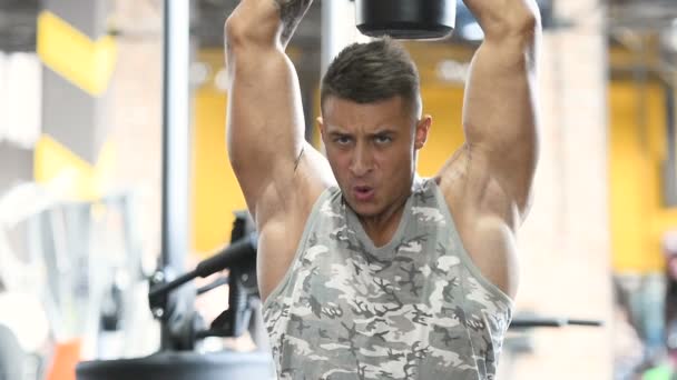 Bonitos Homens Atléticos Fortes Bombeando Músculos Treino Fitness Musculação Conceito — Vídeo de Stock