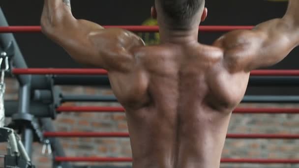 Yakışıklı Güçlü Atletik Erkekler Kaslarını Çalıştırıyor Vücut Geliştirme Konsepti Geliştiriyor — Stok video