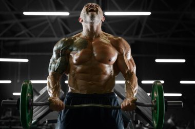 Yakışıklı güçlü atletik erkekler pazı kasları egzersiz f pompalama