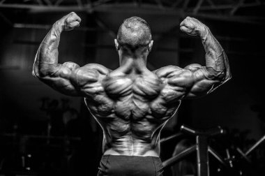 Vahşi güçlü atletik erkek kasları kas geliştiriyor.