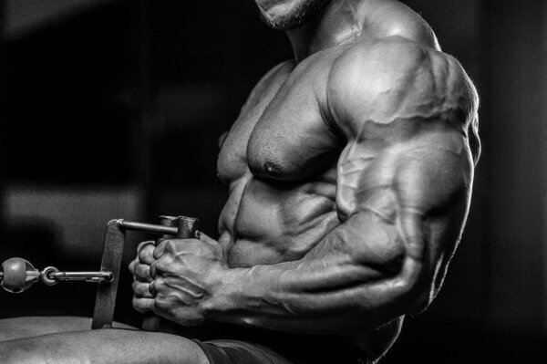 Жестокий сильный атлетических мужчин мышцы тренировки бодибилдинга мышцы
