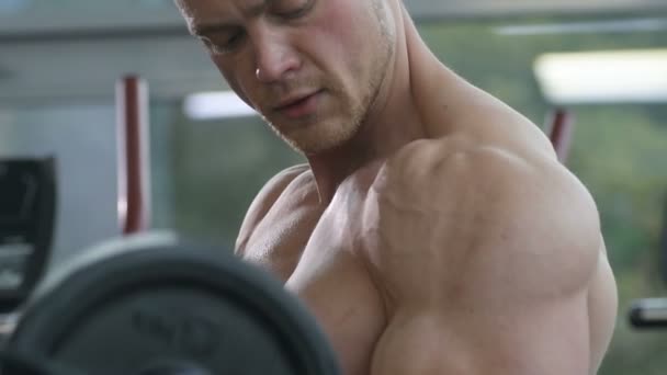 선수가 이두근 근육을 훈련시키고 보디빌더에 복근에 삼첨판에 가슴에 어깨에 체육관이 — 비디오