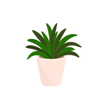 Dekoratif ev bitkileri. Bitkiler ve doğa ev yapımı çiçekler. İç dekorasyonda düz çizgi film tarzında. Vektör illüstrasyonu