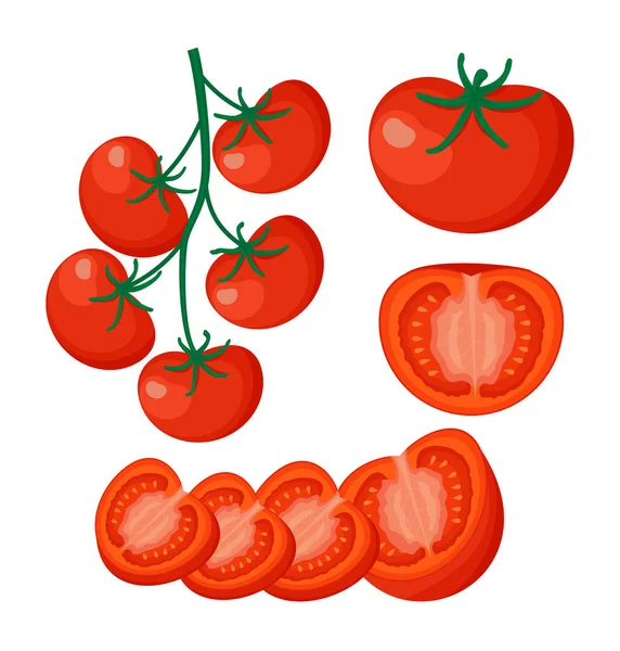 Raccolta Illustrazioni Vettoriali Pomodori Rossi Freschi Mezzo Pomodoro Una Fetta — Vettoriale Stock