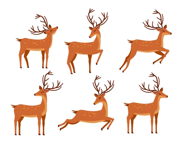 不同姿势的鹿群构成图标集 卡通动物的设计 在白色背景上孤立的向量图解 特别是第10条 — 图库矢量图片