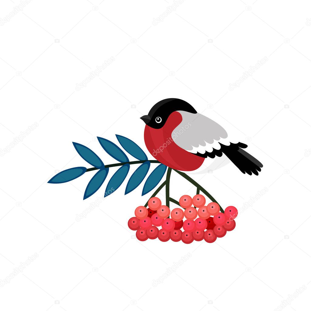 Bullfinch cartoon winter bird sitting on branch of viburnum tree with red berries and green leaf. Vector Eurasian bullfinch with gray and red plumage, wild bird mascot design eps