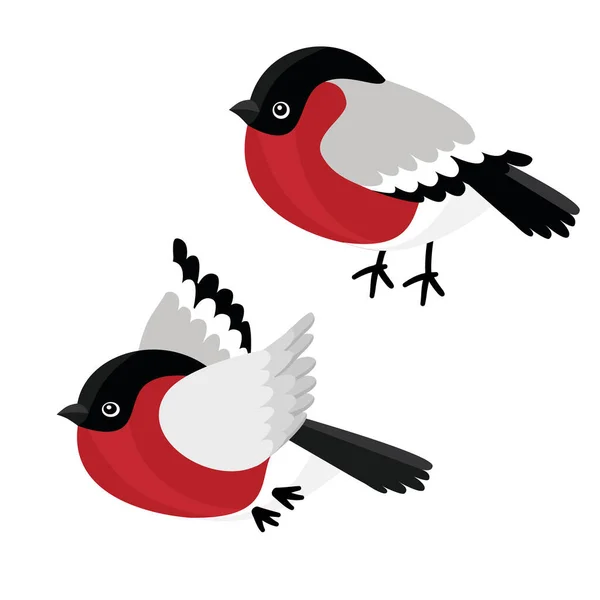 Uppsättning Sittande Och Flygande Tjurfinken Isolerad Vit Bakgrund Exempel Affisch — Stock vektor