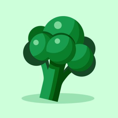 Brokoli vektör çizimi. Düz bir brokolinin vektör çizimi. Sağlıklı beslenme, yiyecek ambalajı ve marketle ilgili tasarımlar için birebirdir..