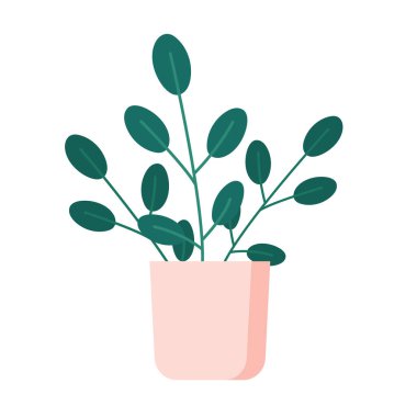 Bitki Otu Düz Vektör İllüstrasyonu. Kompakt bitkisi olan küçük bir tencere. Bir masa veya raf dekorasyonu için uygun basit tasarım.