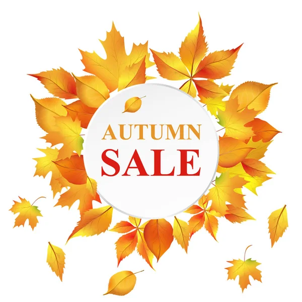 Beyaz adam sonbahar satışı büyük başlığı ile renkli sonbahar yaprakları