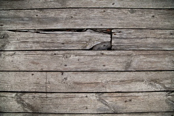 Wood Texture Background Grey Wood Texture — Stock Photo, Image