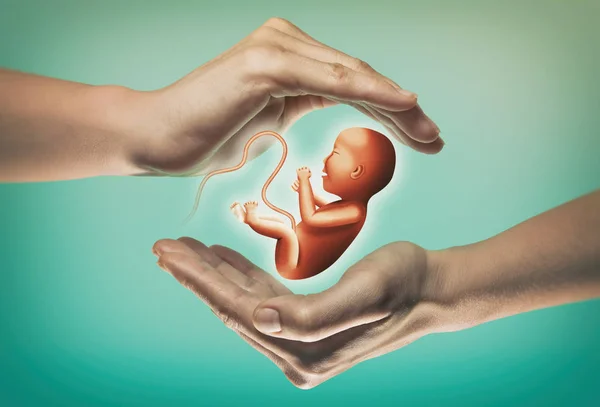 Duas Mãos Fundo Verde Com Embrião Centro — Fotografia de Stock