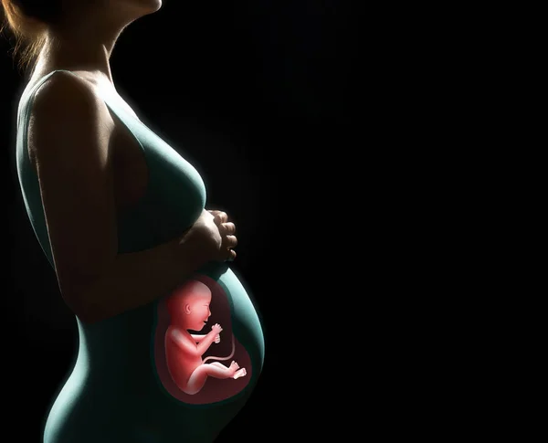 Donna Incinta Con Bambino Dentro Silhouette Sfondo Nero Isolato — Foto Stock