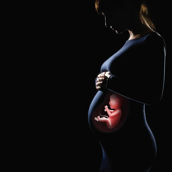 Donna Incinta Con Bambino Dentro Silhouette Sfondo Nero Isolato — Foto Stock