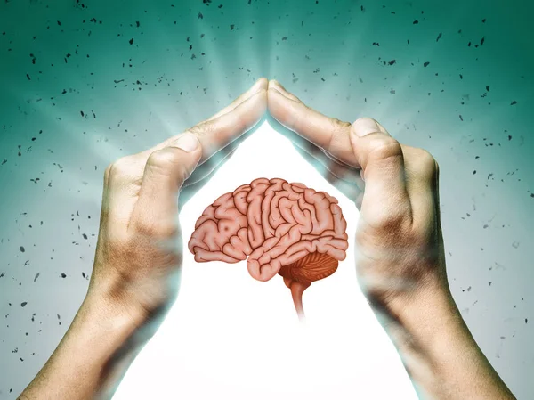 青と緑の背景の女性の つの手のひらの間の人間の脳です 脳の保護と知的財産権の権利の概念 — ストック写真