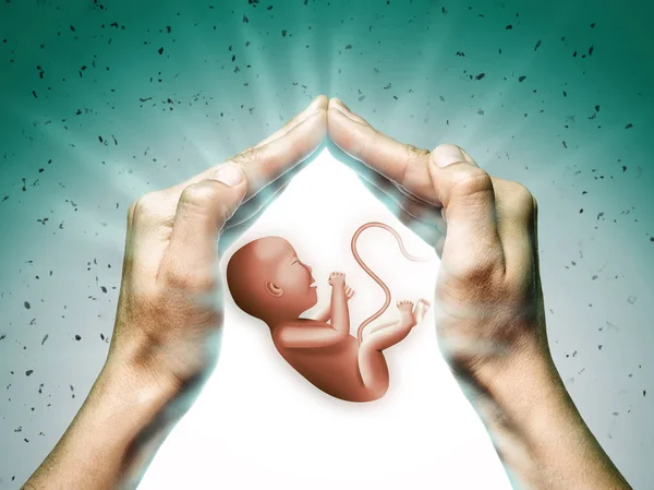 Två Händer Grön Bakgrund Med Embryo Centrum — Stockfoto