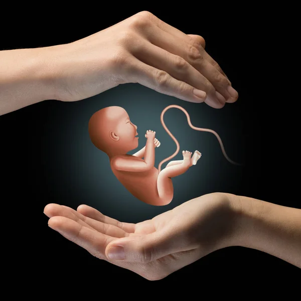 Två Händer Svart Isolerade Bakgrund Med Embryo Centrum — Stockfoto