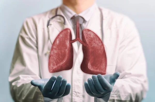 Obraz Lekarza Biały Płaszcz Płuca Powyżej Jego Ręce Pojęcie Zdrowe — Zdjęcie stockowe