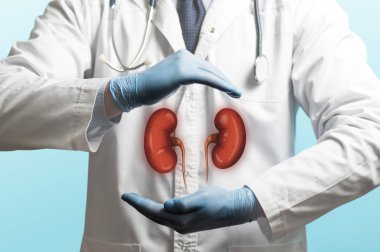 Görüntü doktor Beyaz önlük ve böbrekler elleri yukarıda. Sağlıklı böbrekler kavramı.