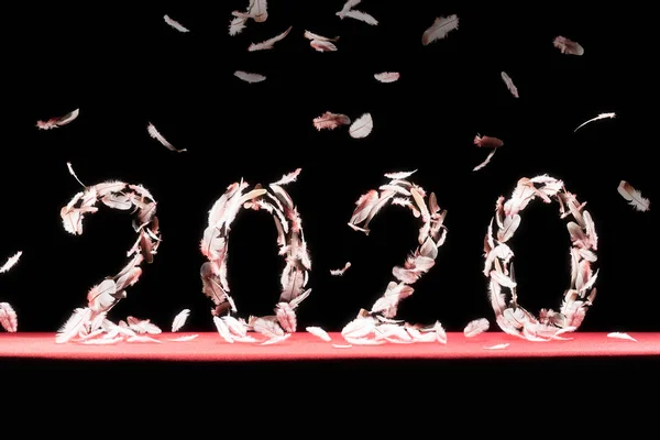 New 2020 Created Falling Feathers Black Background Falling Feathers New — Stock Photo, Image