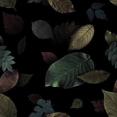 Siyah arka plan üzerinde güzel egzotik yapraklarından Dikişsiz desen. 