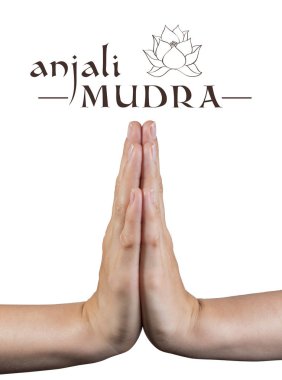 Anjali Mudra.Yojik el hareketi beyaz izole arka planda.