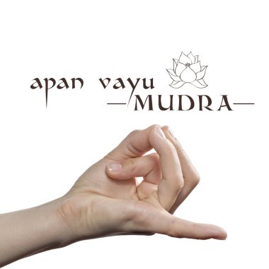 Apan vayu mudra. Beyaz yalıtılmış arka planda yoga el hareketi.