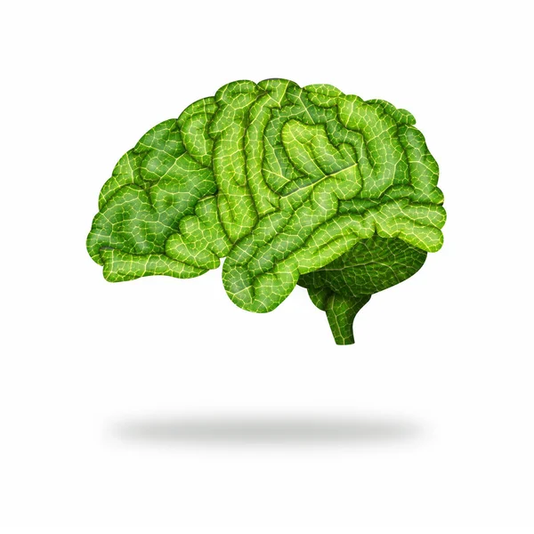 Зелений Мозок Текстурою Листя Білому Ізольованому Фоні Здоровий Мозок Концепція — стокове фото