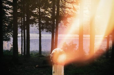 Çift pozlu görüntü. Kozalaklı orman ve yanan kibrit. Dikkatsiz ateş etme. Kavram