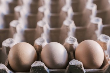 Taze, organik yumurtalar, hem beyaz hem de kahverengi, bir kutu içinde paketlenir.