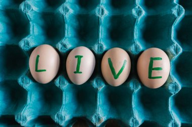 Canlı canlı, taze, organik yumurtalar, hem beyaz hem kahverengi, bir karton kutuda paketlenir..