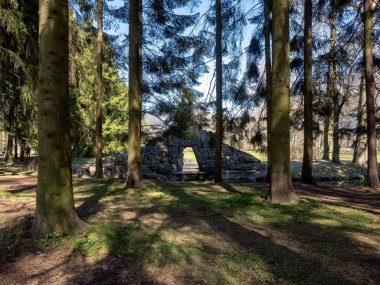 Gölgeli park ağaçları.