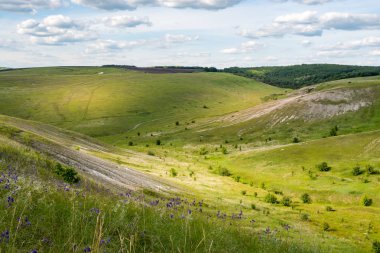 Yeşil bir vadide güneş lekeleri görünümü