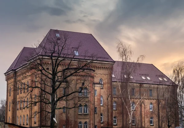 Black Tree Front Old Gothic House — Stock Photo, Image