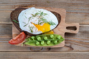 bir kum arka plan üzerinde safkan horoz görünümü.
