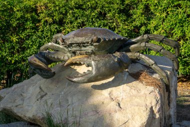 Büyük metal bir yengeç heykeli bir kayanın üzerinde oturur. Heykel bronzdan yapılmıştır ve gerçekçi bir görünüme sahiptir. Yengeç bir kayanın üzerine konur ve doğal düzenine eklenir. Heykel bir sanat eseri.