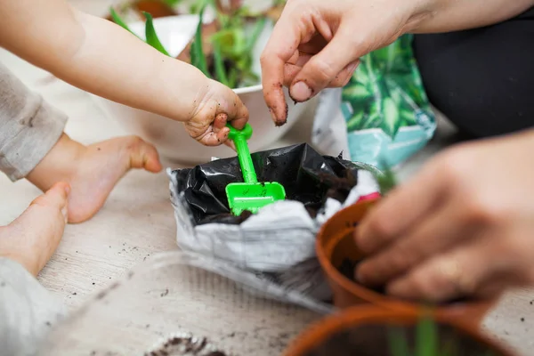 Обрезанный Снимок Ребенка Помогающего Матери Сажать Зеленые Растения Горшках Дома — стоковое фото