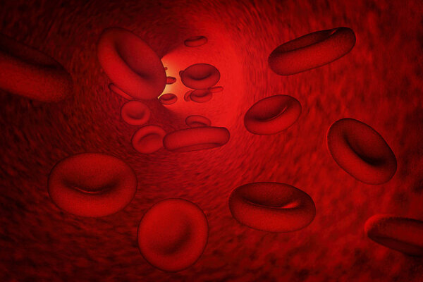 red blood cells floating inside the artery. 3D illustration