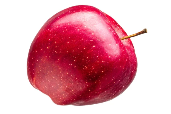 Única maçã vermelha deliciosa no fundo cinza — Fotografia de Stock