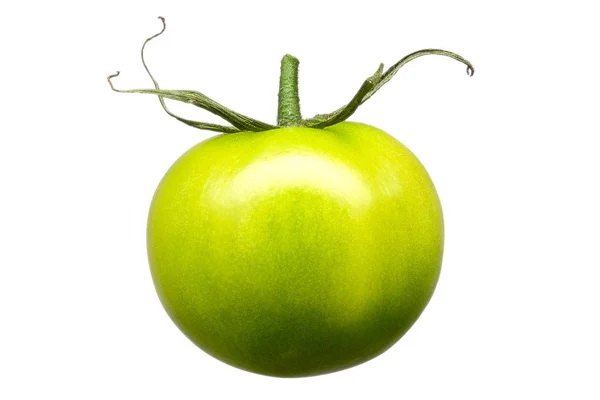 Tomate verde aislado sobre fondo blanco —  Fotos de Stock