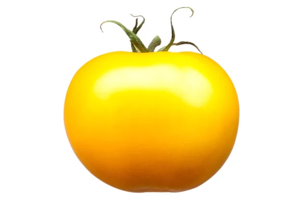 白色背景上孤立的单个黄色番茄 — 图库照片
