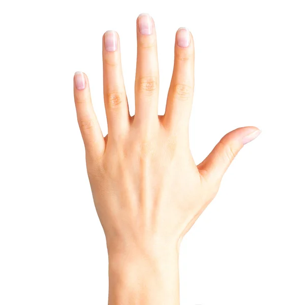 Γυναικείο χέρι δείχνει πέντε δάχτυλα και παλάμη — Φωτογραφία Αρχείου