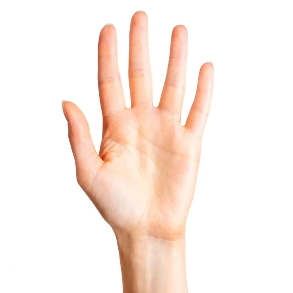 Mano femenina mostrando cinco dedos y palma — Foto de Stock
