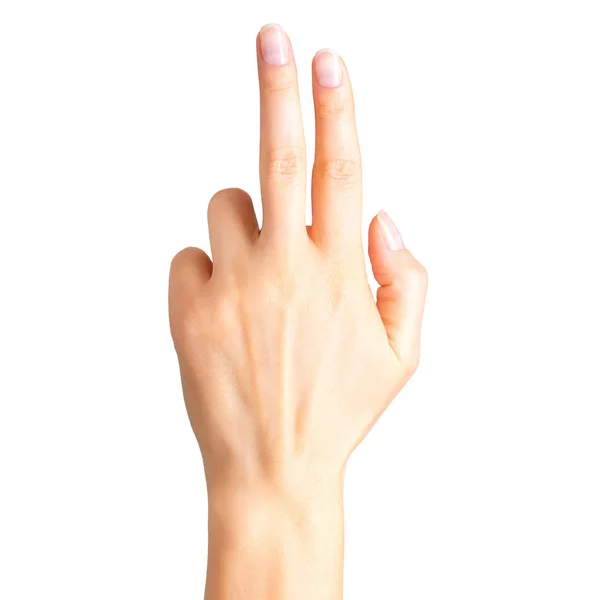 Female hand showing two fingers and palm — Stock Photo, Image