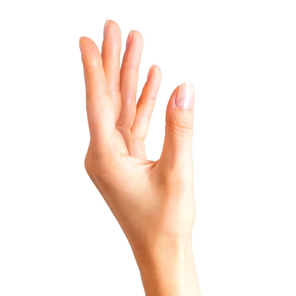 Woman beautiful hands showing something — Stock Photo, Image